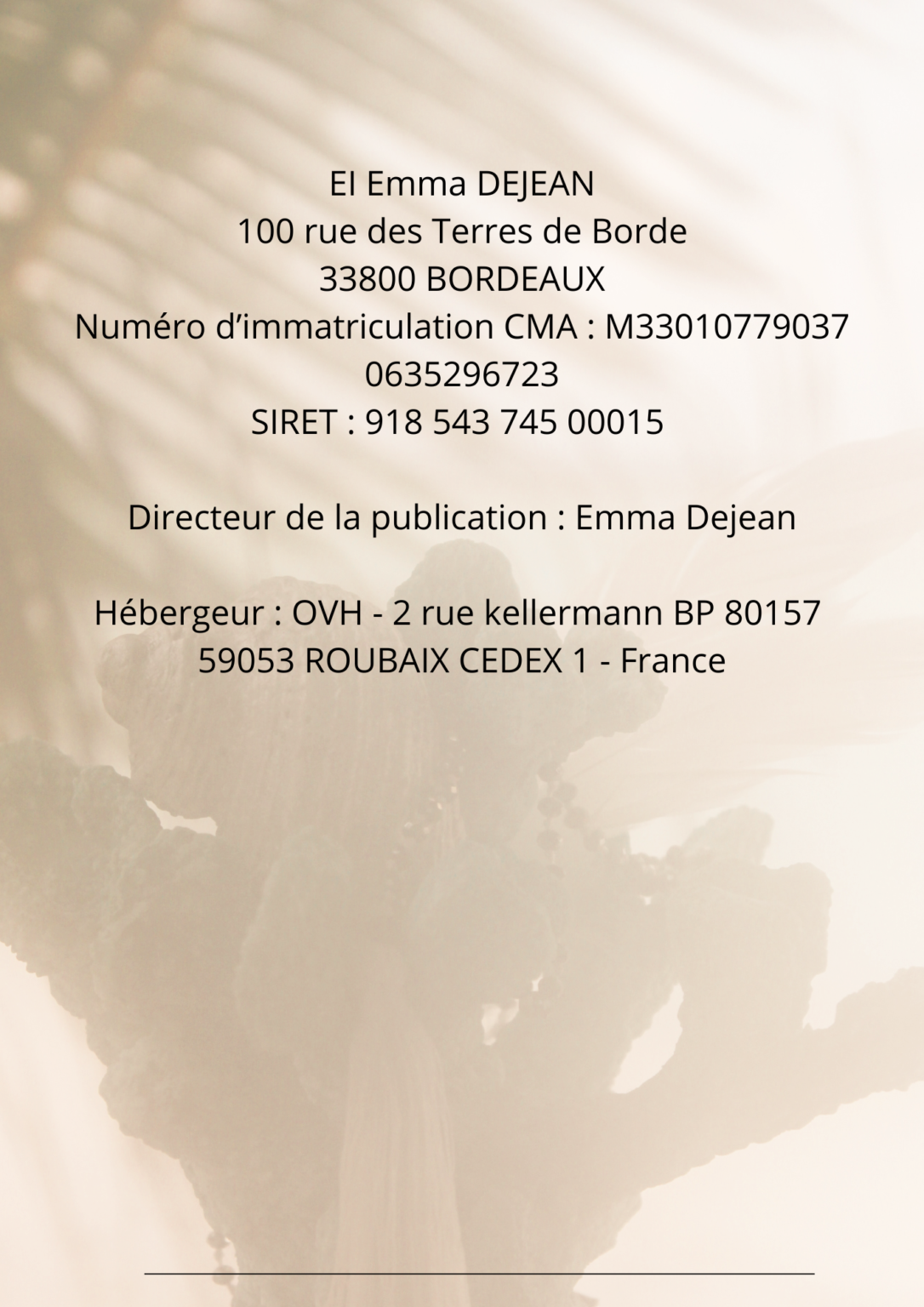 Brown-Modern-Photo-Studio-Price-List-1-1086x1536